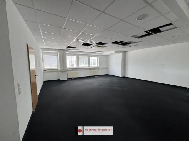 Gewerbe mieten in Wiener Neudorf, Niederösterreich