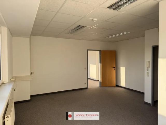 Gewerbe mieten in Wiener Neudorf, Niederösterreich