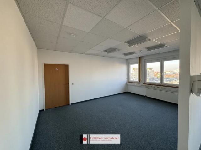 Gewerbe mieten in Wiener Neudorf, Niederösterreich