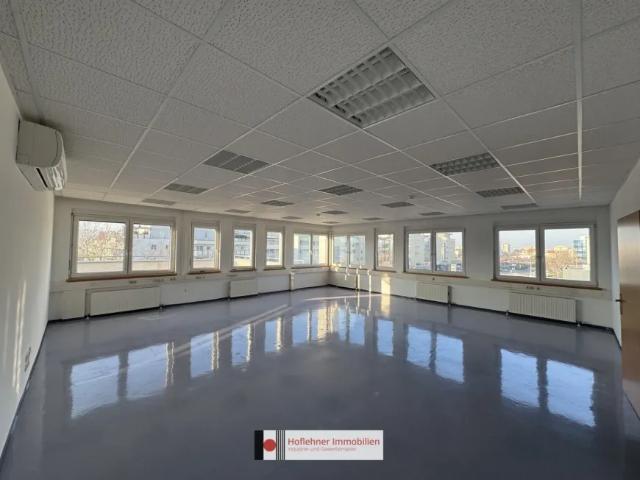 Gewerbe mieten in Wiener Neudorf, Niederösterreich