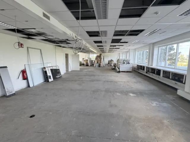 Gewerbe mieten in Wiener Neudorf, Niederösterreich