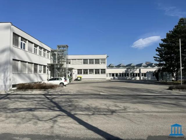 Gewerbe mieten in Wiener Neustadt, Niederösterreich