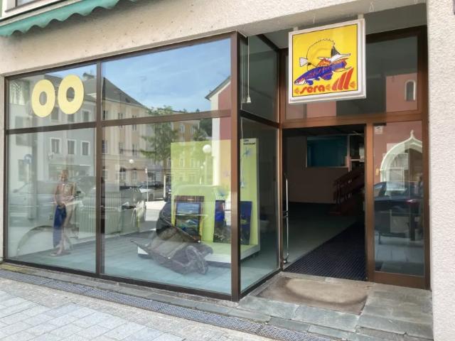 Gewerbe kaufen in Ried im Innkreis, Oberösterreich