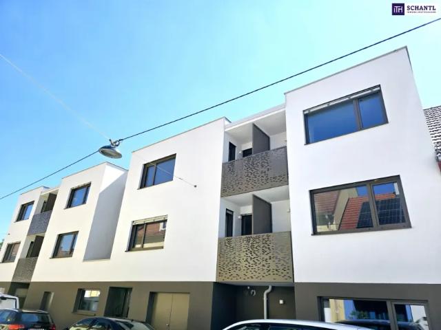 Gewerbe kaufen in Donaustadt, Wien