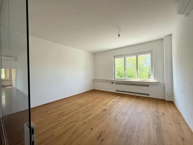 Gewerbe mieten in Brunn am Gebirge, Niederösterreich