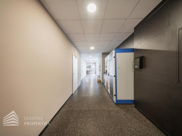 Gewerbe mieten in Gerasdorf bei Wien, Bezirk Korneuburg