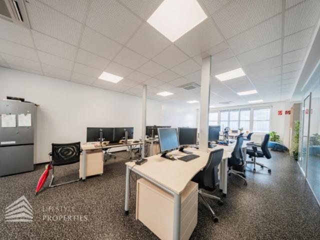 Gewerbe mieten in Gerasdorf bei Wien, Bezirk Korneuburg