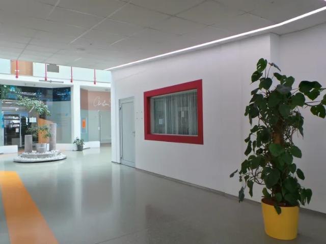 Gewerbe mieten in Neudorf bei Ilz, Ilz