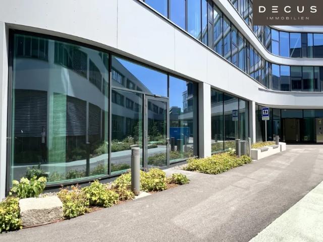 Gewerbe mieten in Industriegebiet-Hafen, Linz