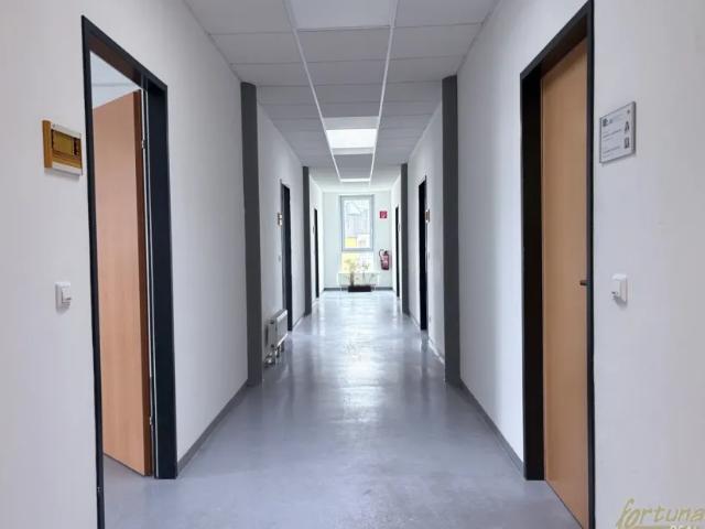 Gewerbe mieten in Katastralgemeinde St. Pölten, St. Pölten
