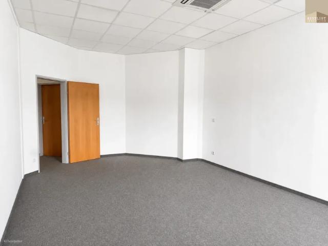 Gewerbe mieten in Katastralgemeinde Traiskirchen, Traiskirchen