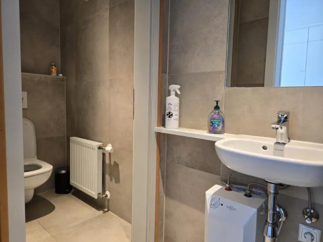 Gewerbe mieten in Weiz, Steiermark