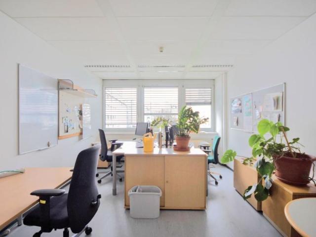 Gewerbe mieten in Innere Stadt, Wien