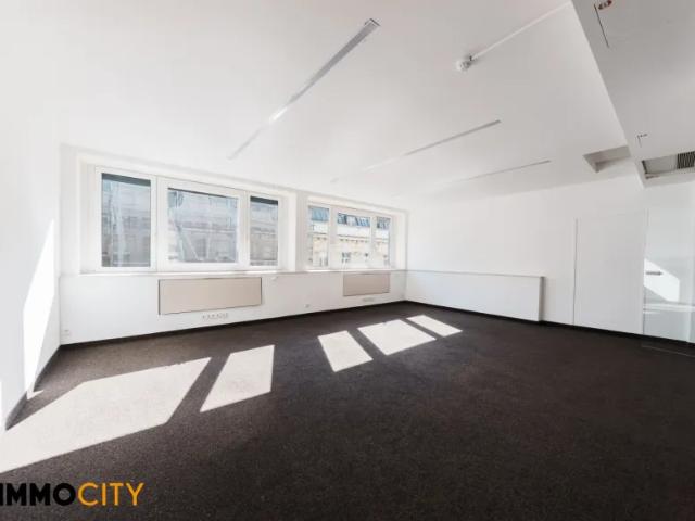 Gewerbe mieten in Seestadt, Wien