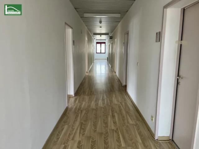 Gewerbe mieten in Seestadt, Wien
