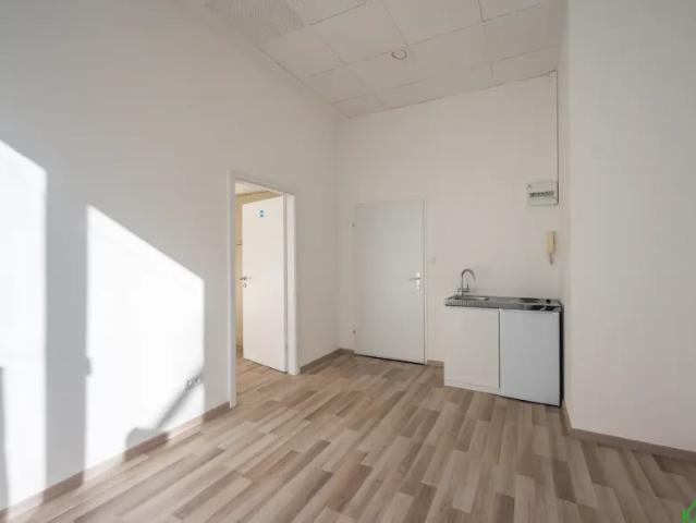 Gewerbe mieten in Seestadt, Wien