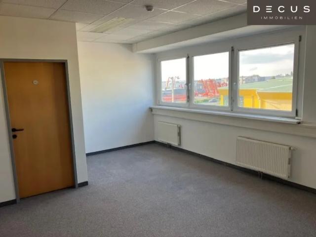 Gewerbe mieten in Wiener Neudorf, Niederösterreich