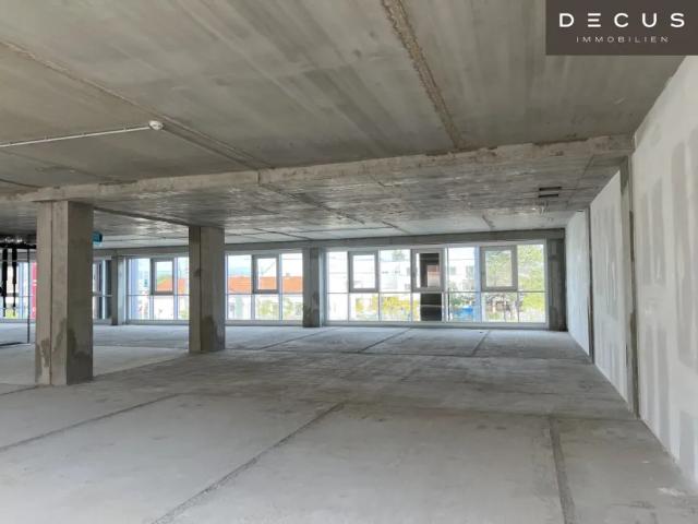 Gewerbe mieten in Wiener Neudorf, Niederösterreich