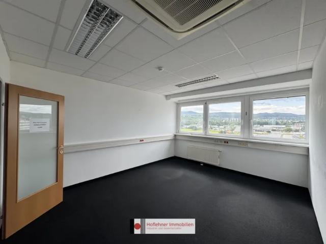 Gewerbe mieten in Wiener Neudorf, Niederösterreich