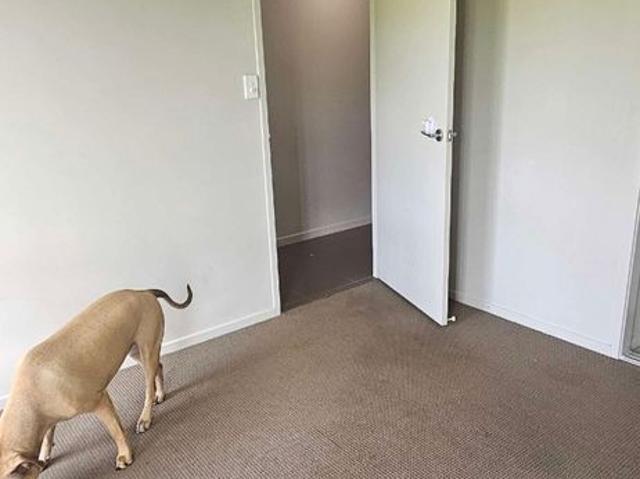 Room for rent in Toombul, Queensland