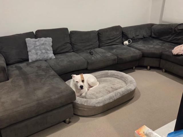 Room for rent in Toombul, Queensland