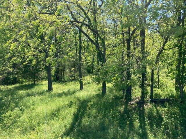 Land for sale in Carthage, Missouri
