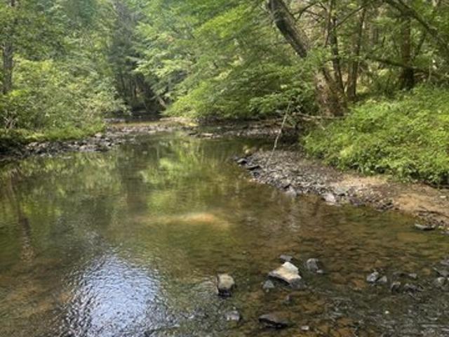 Land for sale in Tennessee
