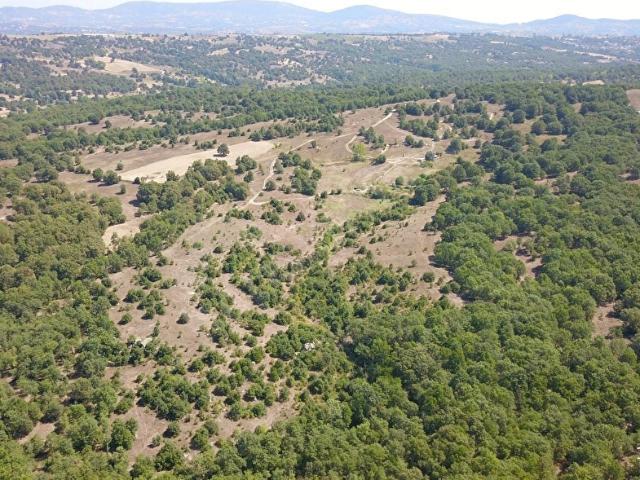 Büyükorhan, Bursa içerisinde satılık Arsa
