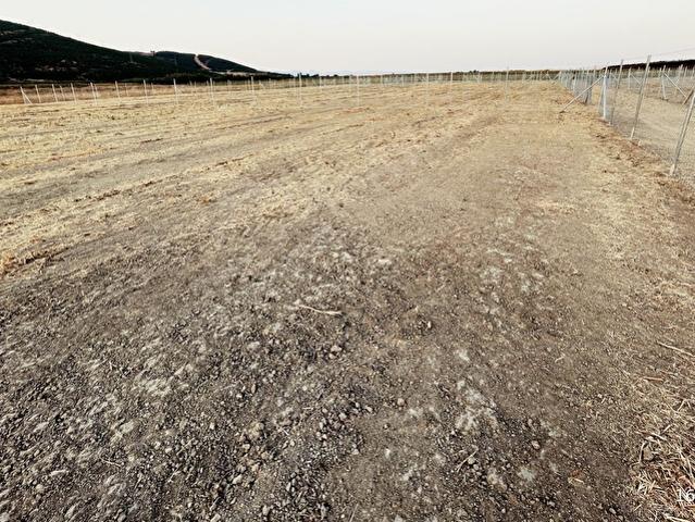 Yenişehir, Bursa içerisinde satılık Arsa