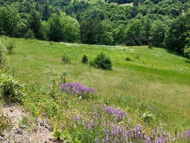 Gemlik, Bursa içerisinde satılık Arsa