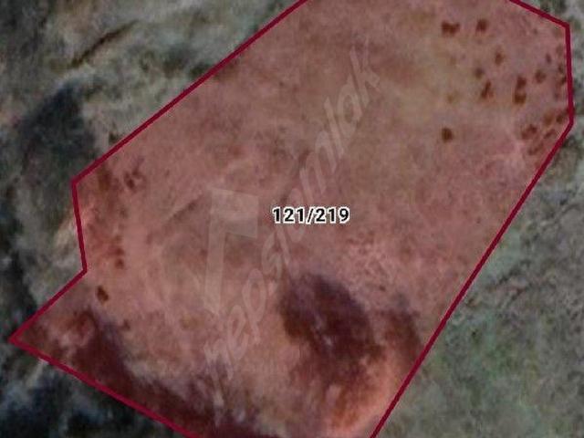 Fındıcak, Gemlik içerisinde satılık Arsa