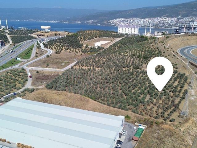 Gemlik, Bursa içerisinde satılık Dükkan