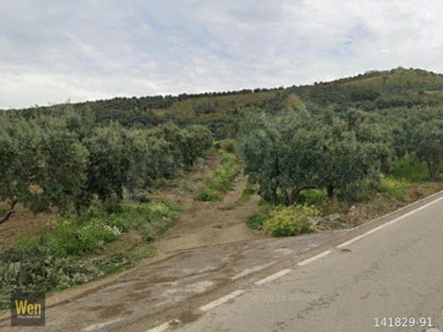 Gemlik, Bursa içerisinde satılık mülk