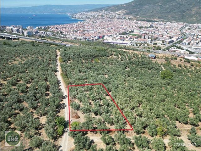 Gemlik, Bursa içerisinde satılık mülk