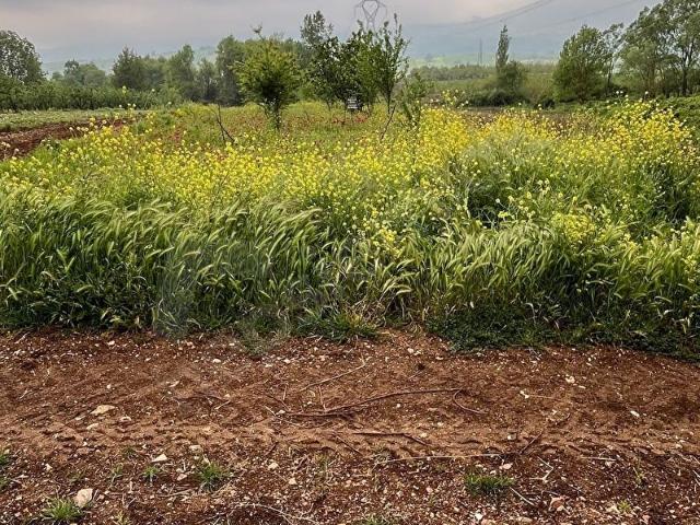 İnegöl, Bursa içerisinde satılık Arsa