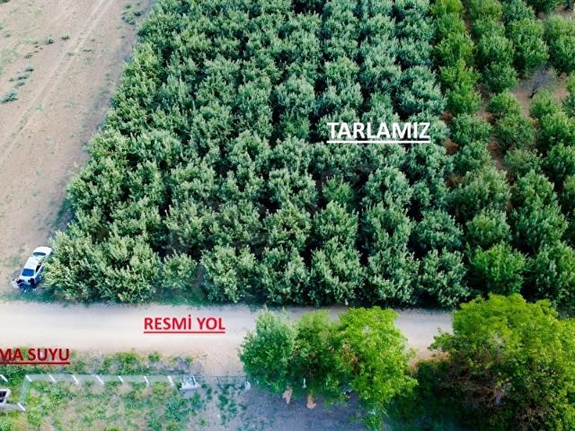İnegöl, Bursa içerisinde satılık Arsa