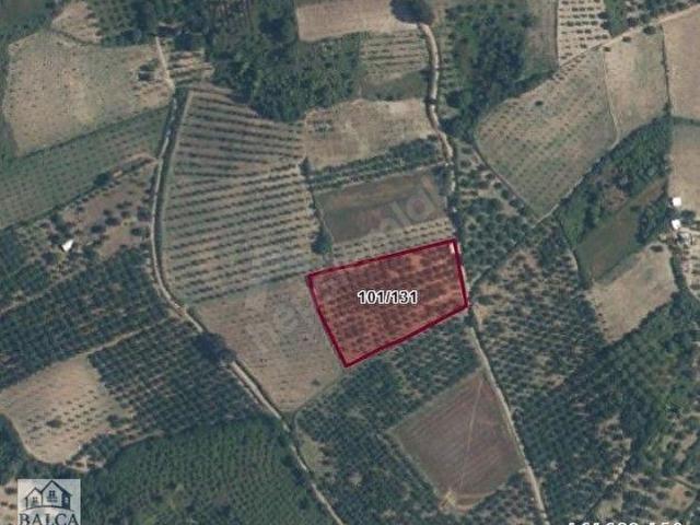 Konurlar, İnegöl içerisinde satılık mülk