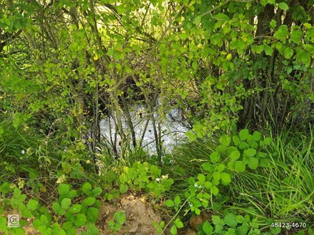 Yenişehir, Bursa içerisinde satılık Arsa