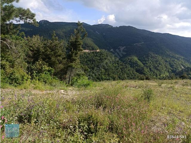 İznik, Bursa içerisinde satılık Arsa