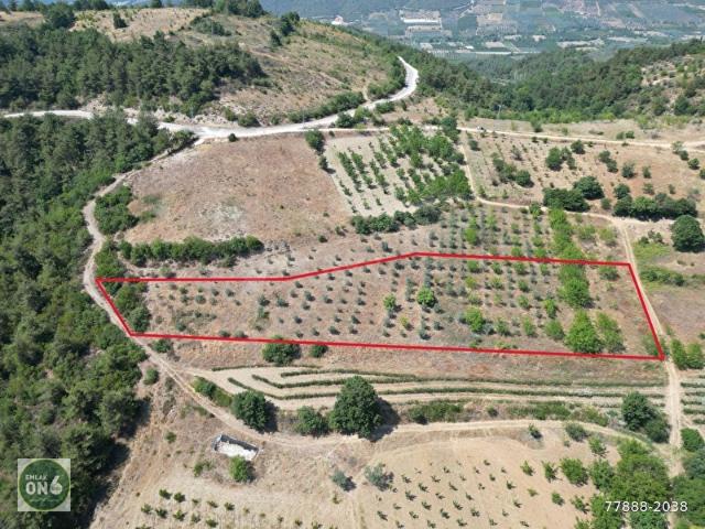 İznik, Bursa içerisinde satılık Arsa