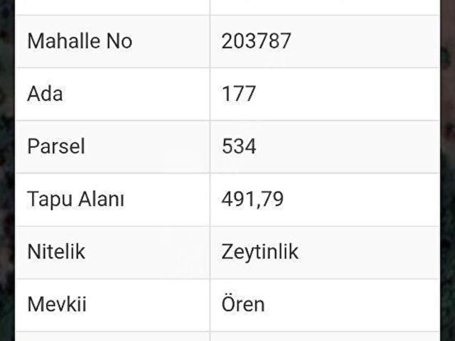 İznik, Bursa içerisinde satılık mülk