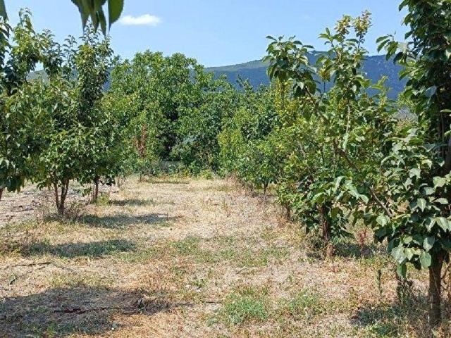 İznik, Bursa içerisinde satılık mülk