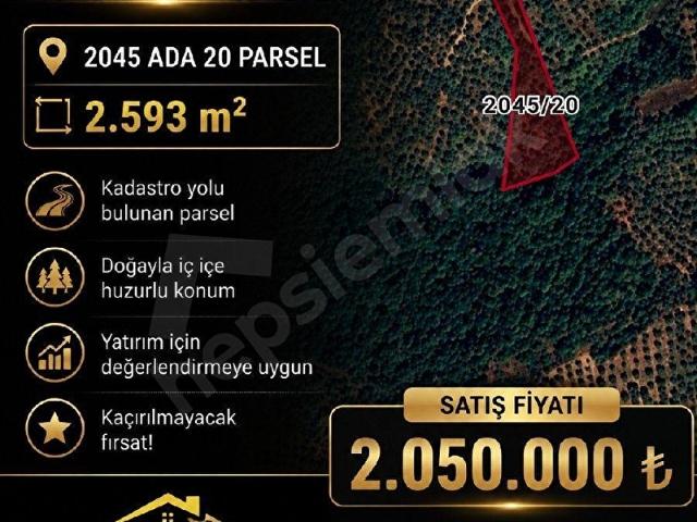 İznik, Bursa içerisinde satılık Arsa