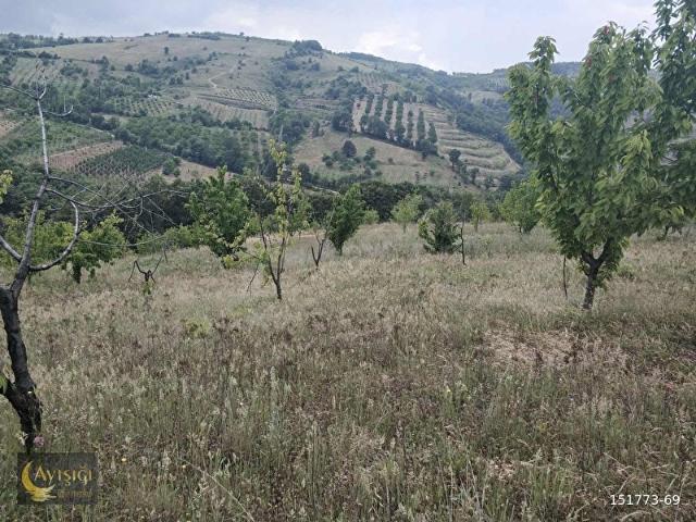 İznik, Bursa içerisinde satılık Arsa