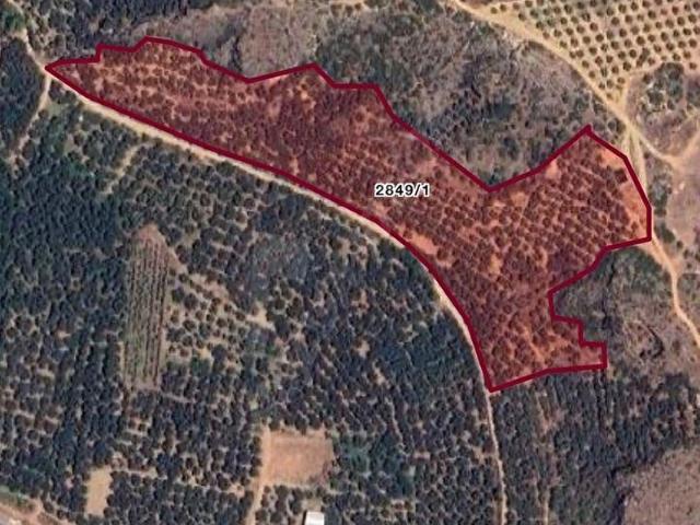 İznik, Bursa içerisinde satılık mülk