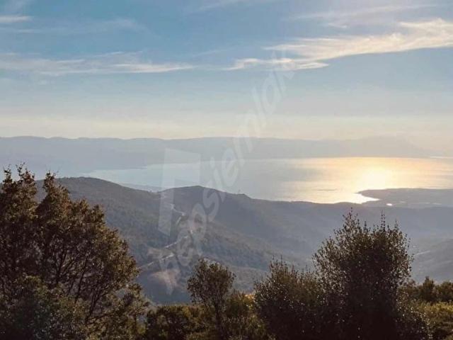 İznik, Bursa içerisinde satılık Arsa