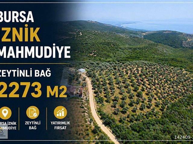 İznik, Bursa içerisinde satılık Arsa