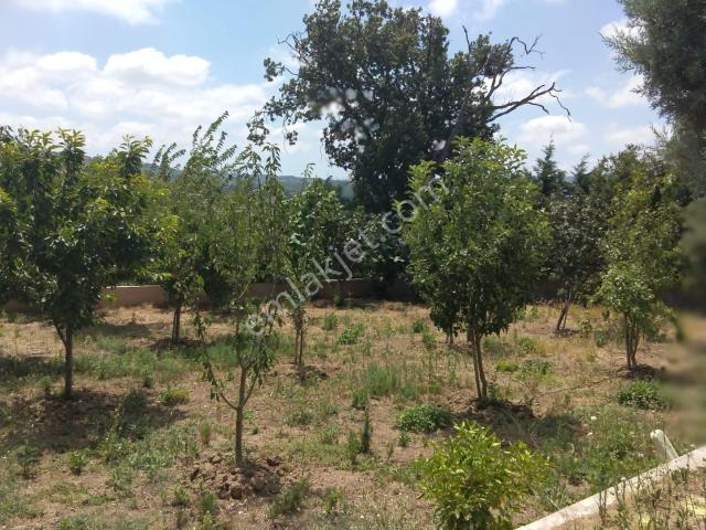 Biga, Çanakkale içerisinde satılık Villa