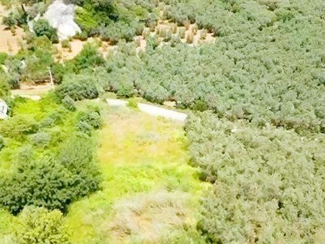 Mesudiye Mahallesi, Mudanya içerisinde satılık Arsa