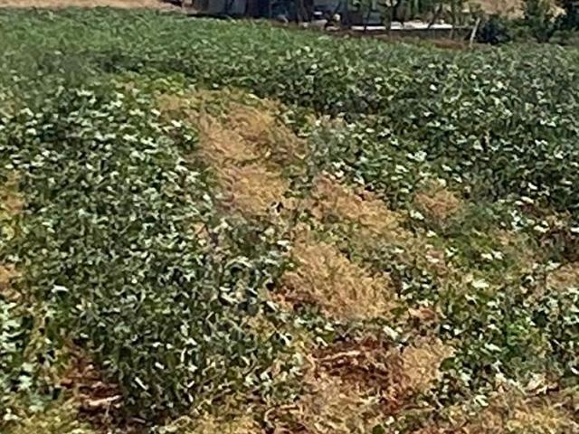 Karacabey, Bursa içerisinde satılık mülk